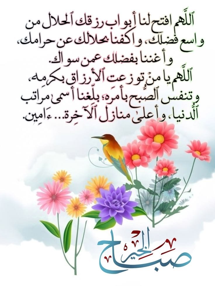 SalamGaddafi's tweet photo. صباح الخير https://t.co/Yvxoab1GXX