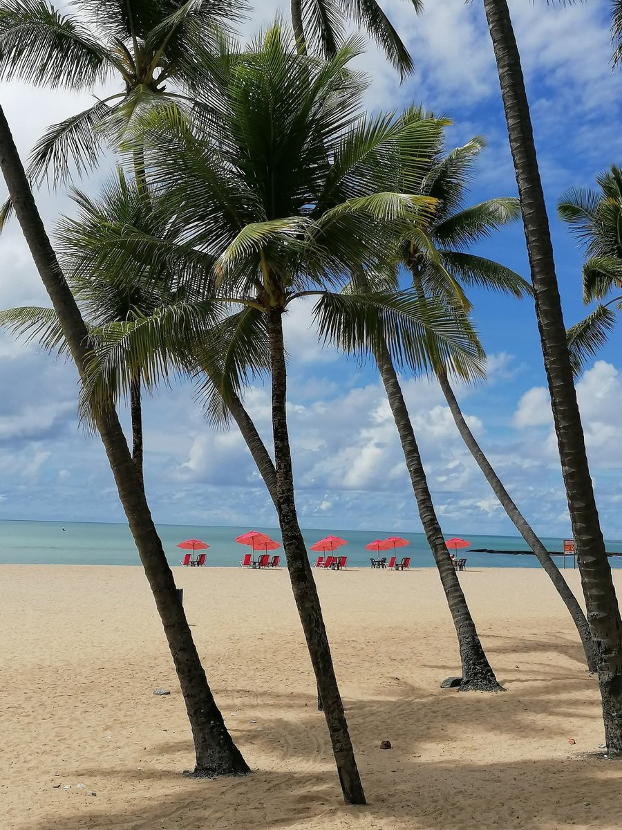 skymanuelima's tweet photo. Piedade é 1 bairro de Jaboatão dos Guararapes, em Recife, no estado de Pernambuco. A Praia de Piedade só obteve esse nome quando foi construída a Capela que deu origem à atual Igreja da Piedade, defronte do mar. #Piedade #Jaboatão_dos_Guararapes #Recife #Pernambuco #Brasil #praia https://t.co/ebBiQdejkG