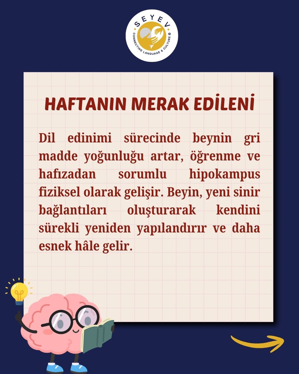 SEYEV_'s tweet photo. 🧠 Yeni bir dil edinmek beyninizi gerçekten büyütebilir mi?
Evet! Araştırmalar, yeni bir dil edinmenin beynin gri madde yoğunluğunu artırabildiğini ve hafızadan sorumlu hipokampusu güçlendirebildiğini gösteriyor.👇 https://t.co/4kd4Wqfnp0