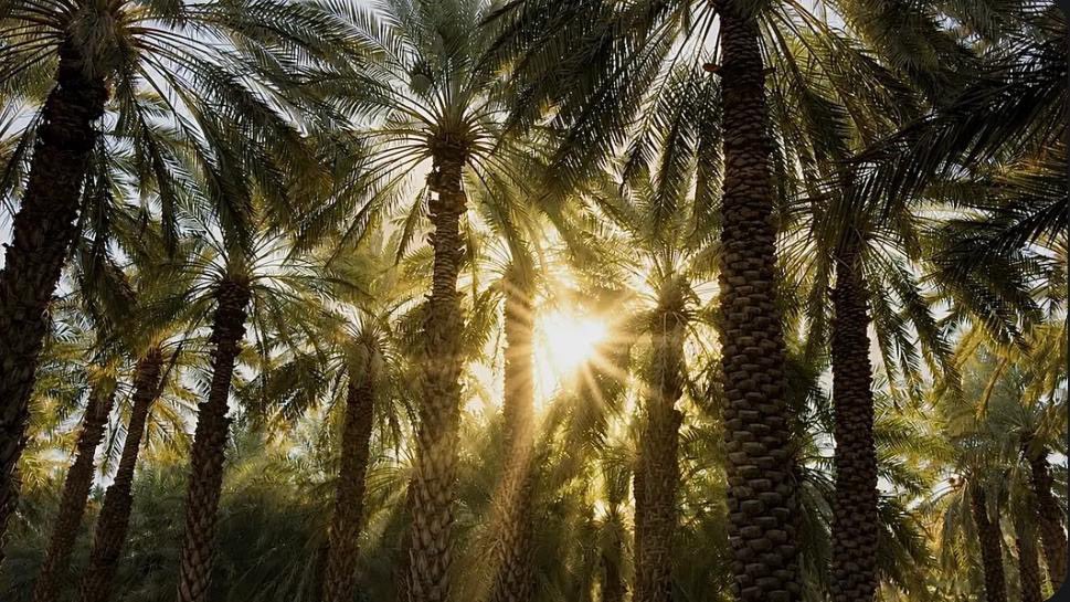 12lc_'s tweet photo. واللي يعدّك شمس لا تخلف له ظنونه
 أشرق على قلبه من الحب - وأغرب به❣️. https://t.co/C3hZhGd0ou