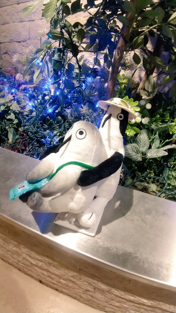 MifArt's tweet photo. #クジマ歌えば家ほろろ
仲間に会えたノ！
YK様(@YK2724007292478)のお家の子とご一緒させていただきました！！可愛いー！ありがとうございましたー💕 https://t.co/HeDoZPSJMY