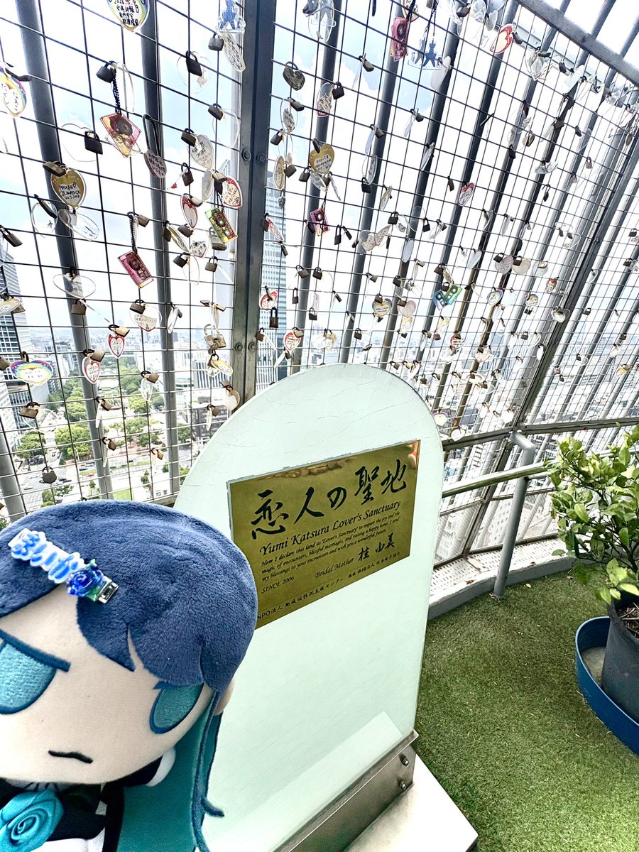 まいか🥀Ado💙ハイネ🩵▶︎サマソニ大阪▶︎代々木第一体育館!!!!!! tweet media