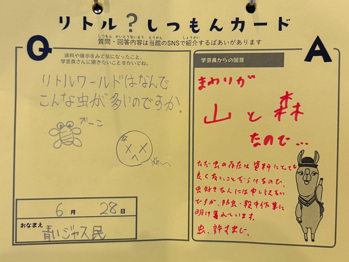littleworldinfo's tweet photo. 学芸員にとって最大の敵といっても過言ではない！？虫についての質問に、資料保存と虫害に詳しい学芸員Yがお答えしました🐝

リトルワールドは山の中にある博物館なので、どうしても虫が出てしまいます。
虫よけスプレーなどを吹きかけてからの入館がおススメです👍

みなさまから寄せられた「質問」「発見」「感想」は、本館５室出口の【みんなのけいじばん】でもご覧ただけます✨
＃リトルしつもんカード ＃学芸員からのコメント