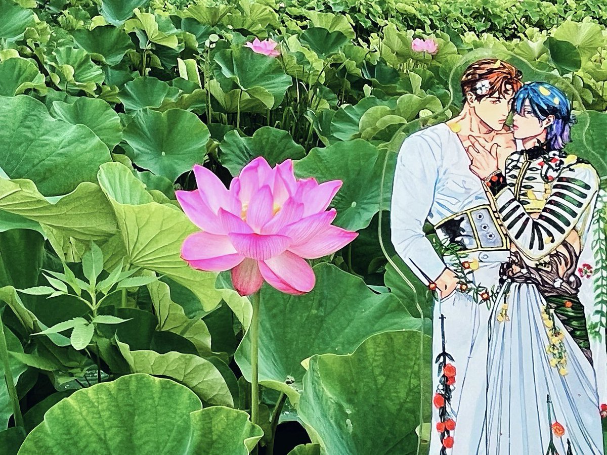 cyancyan1bl's tweet photo. 蓮の花が綺麗な時期✨
という事でレンさんとお写真撮りたーい！と朝からお出掛け🪷

まだ蕾が多くて、来週が見頃かな？って感じだったけど十分綺麗！！
レンさんも蓮の花も本当に最高だったよー！帰ったらゼロラバ読むー💕

#ZEROLOVER https://t.co/PTHMkKZ7T3