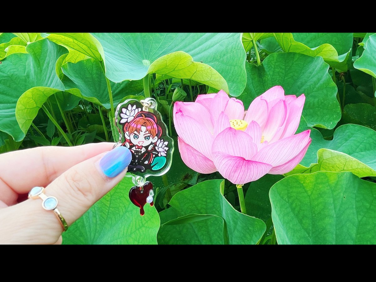 cyancyan1bl's tweet photo. 蓮の花が綺麗な時期✨
という事でレンさんとお写真撮りたーい！と朝からお出掛け🪷

まだ蕾が多くて、来週が見頃かな？って感じだったけど十分綺麗！！
レンさんも蓮の花も本当に最高だったよー！帰ったらゼロラバ読むー💕

#ZEROLOVER https://t.co/PTHMkKZ7T3