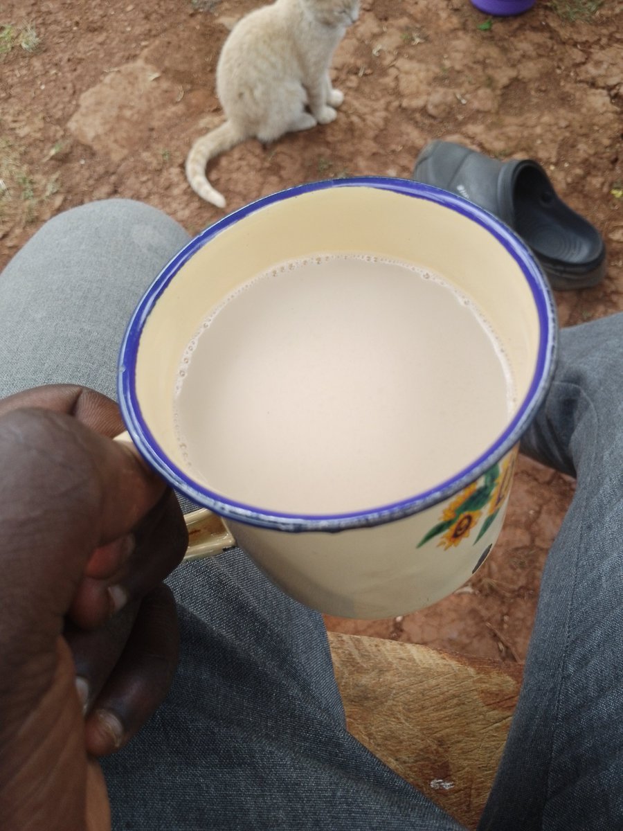 MwangiHans9's tweet photo. Good morning https://t.co/ypGMQXw5Gw