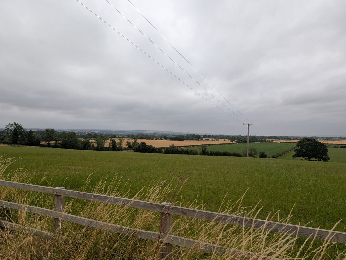 salixweeps's tweet photo. 11 miles into the walk 💪💪 https://t.co/cVjp7kTLlF
