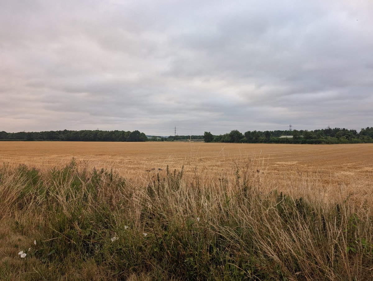 salixweeps's tweet photo. 11 miles into the walk 💪💪 https://t.co/cVjp7kTLlF