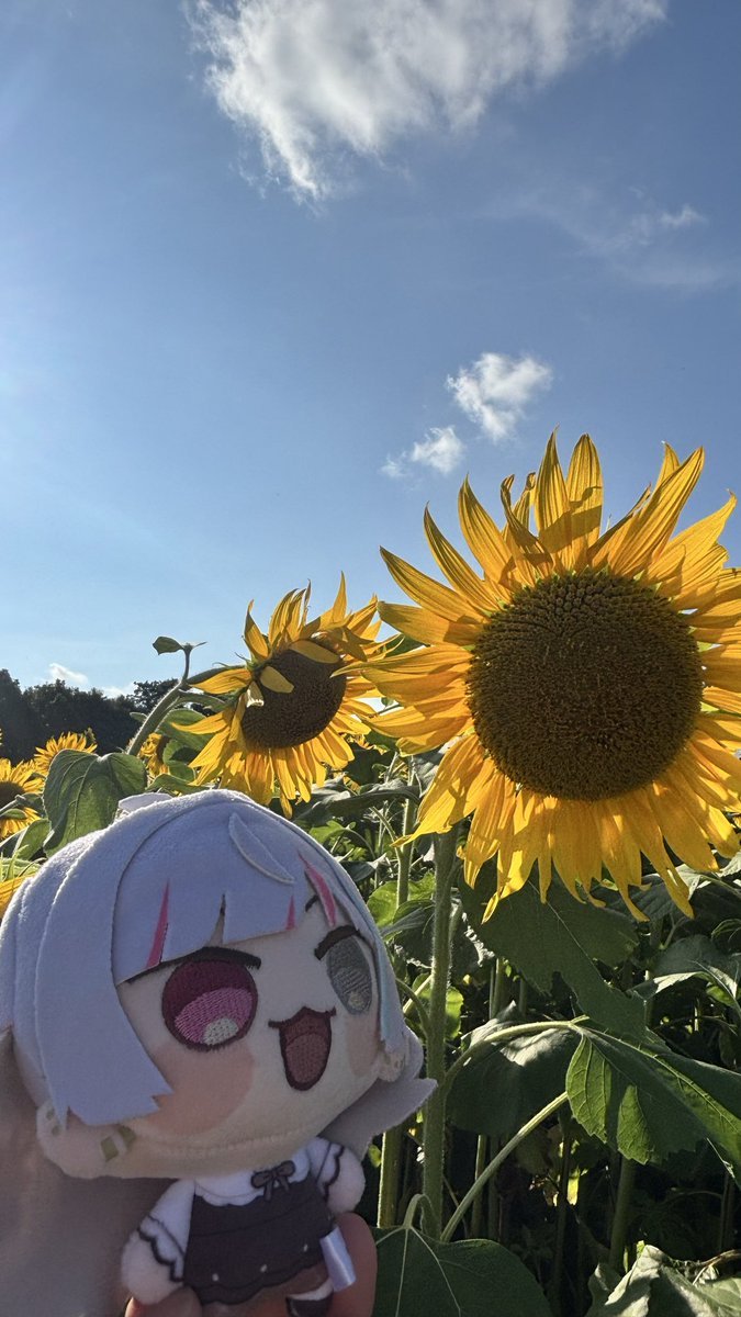 ぺんちゃん❤️‍🩹 tweet media