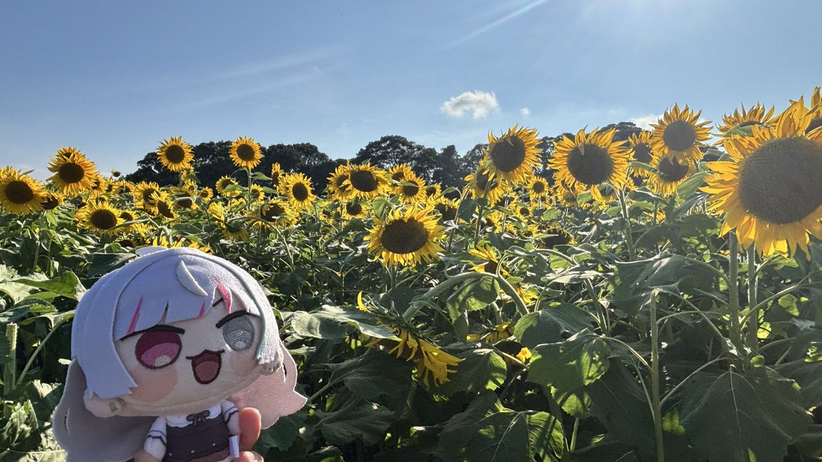 ぺんちゃん❤️‍🩹 tweet media