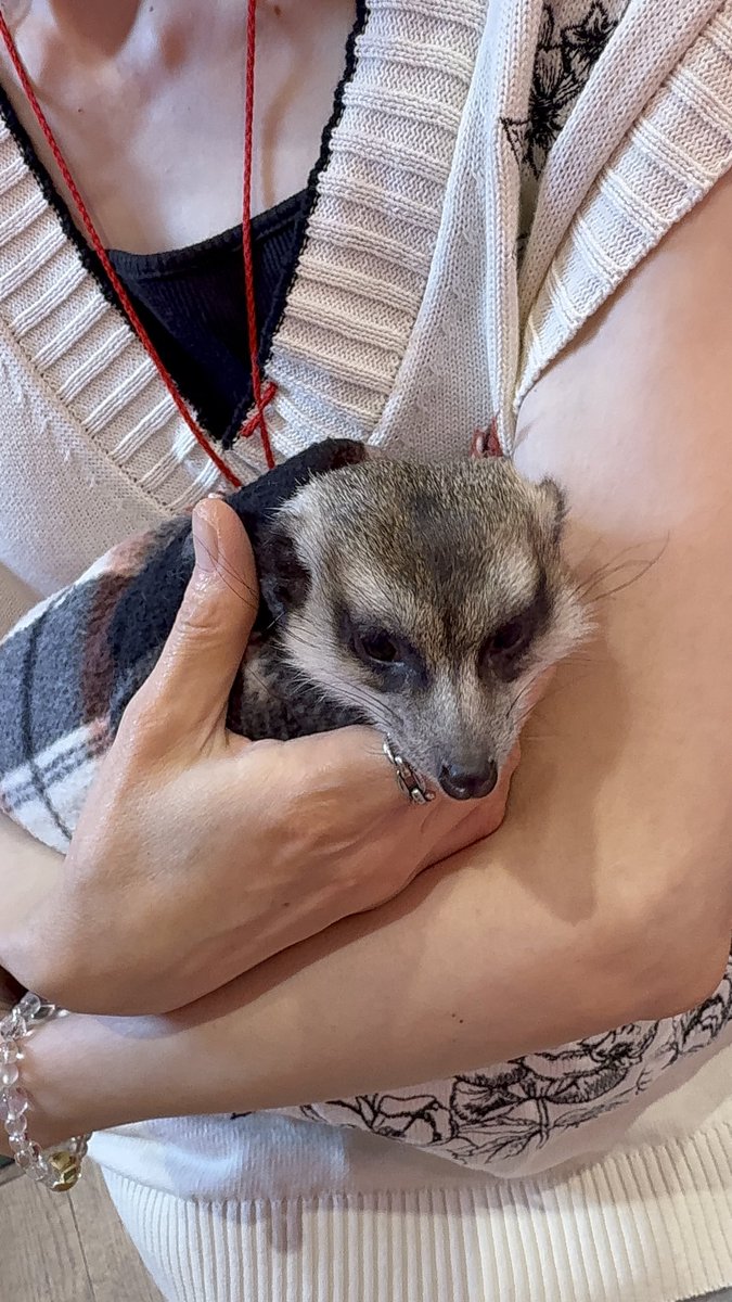 arararen's tweet photo. 可愛い生き物と触れ合ってきた✨ https://t.co/sf5a2LXfrG