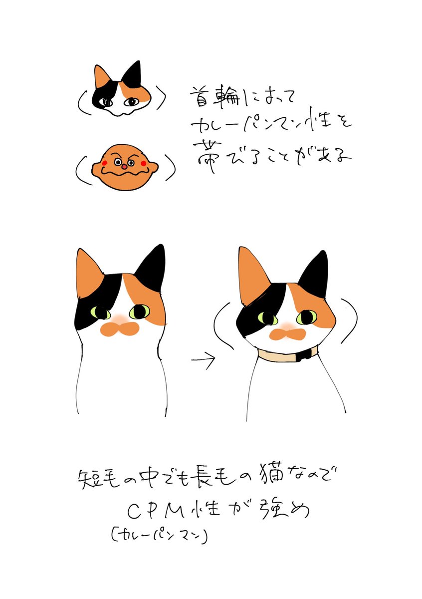 manamichida's tweet photo. カレーパンマン性 https://t.co/tWlpljHiQp