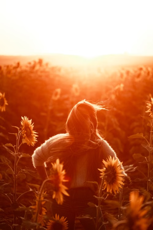 0k_s5's tweet photo. Introvert
Extrovert
Ambivert
Otrovert
The vocabulary is just a tool to compartmentalize & box ourselves in
At heart, one blooms with love & grows stronger with respect
But being judged just withers the self quietly that drifts away, drained & emotionally closed off
#SBWrites https://t.co/sbB349TGzr