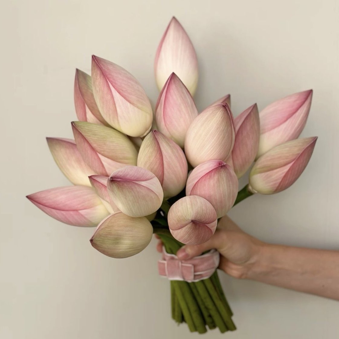 prtygal777's tweet photo. Lotus bouquet before and after °•🪷 ⋆✴︎˚｡⋆ https://t.co/1GKEswZfi8