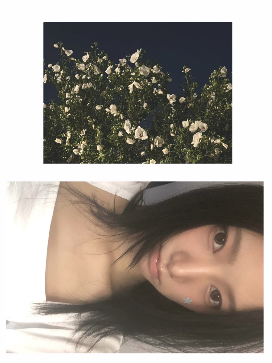 geeniusofficial tweet picture
