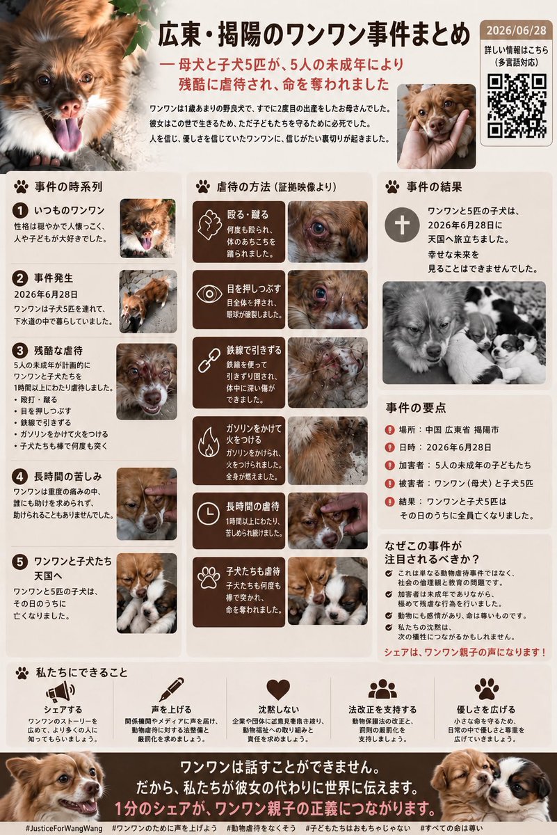 echo5x tweet media