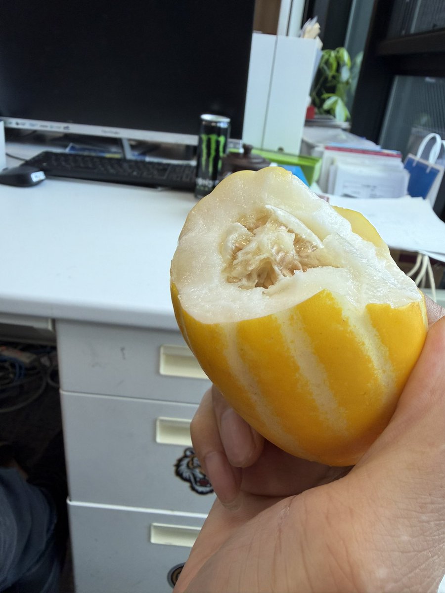 日本大誠不動産·社长老石 tweet media