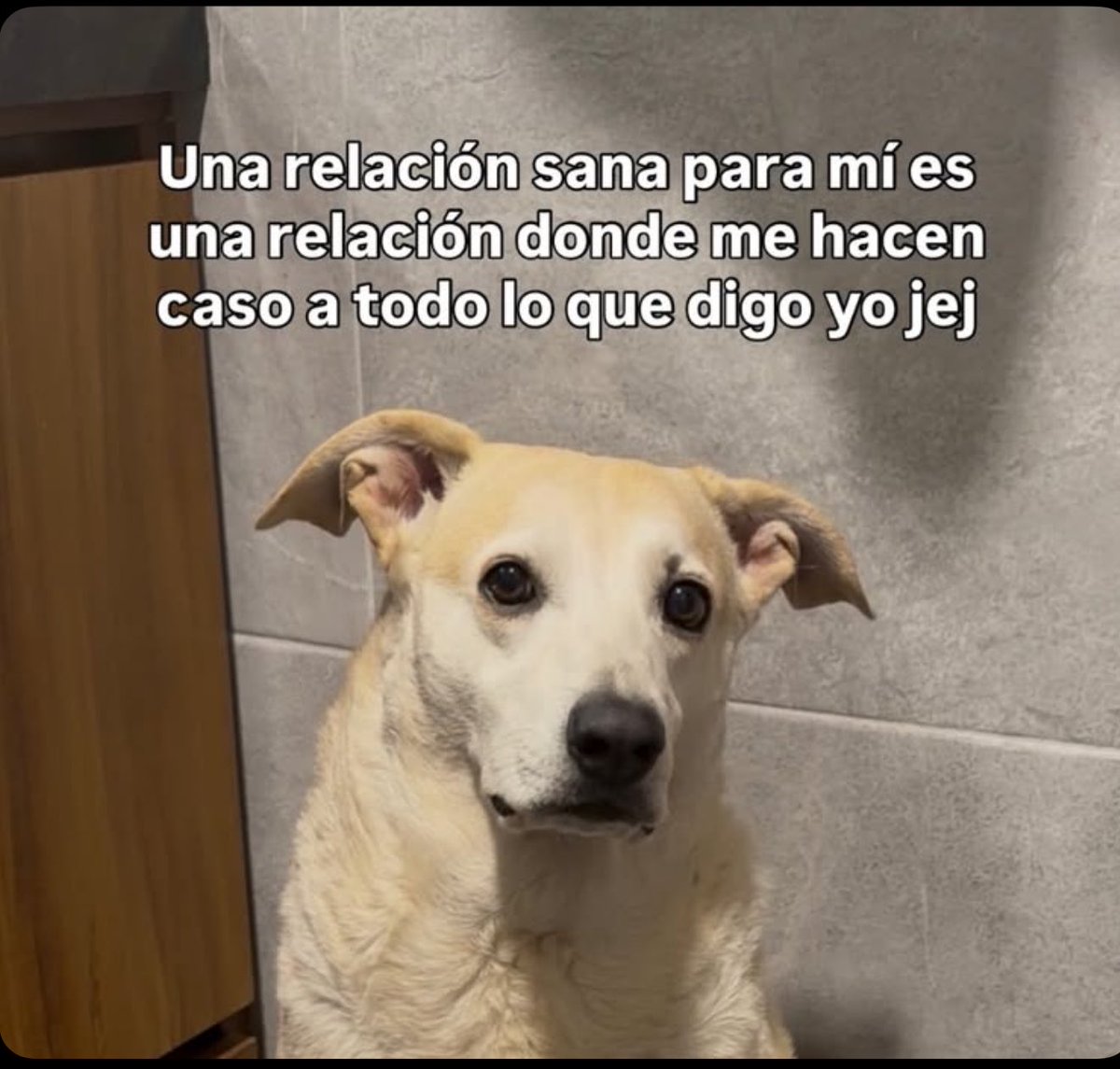 Naranja_M's tweet photo. Al fin estoy viviendo el sueño 🤣🤣❤️ 
Gracias Diosito https://t.co/UjuzuOjVGC