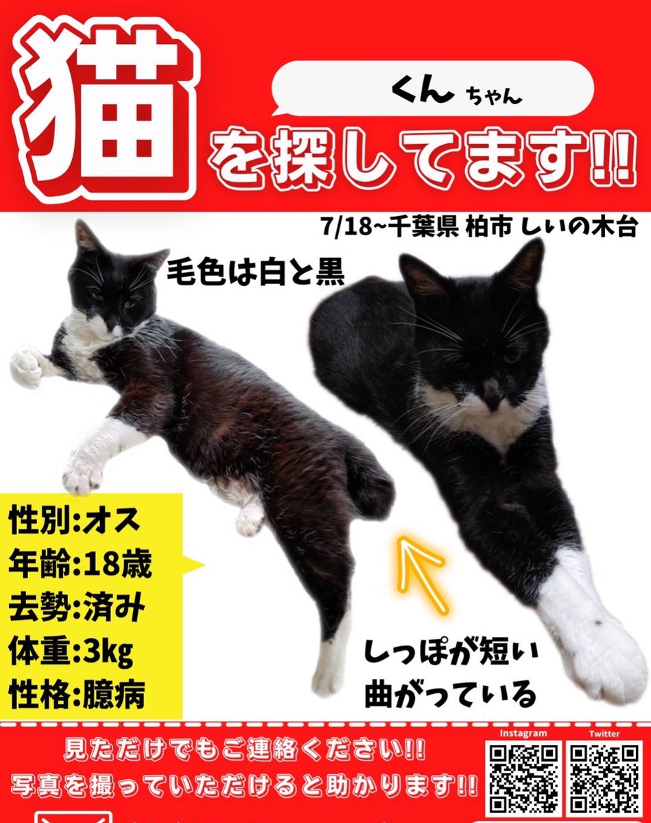 WVElR6RbLXNdUzr's tweet photo. #千葉県柏市 #迷子猫 #黒白猫  
2023年7月18日に柏市で逸走した愛猫
「クンスケ」を、今も探しています。
明日で丸3年になります。
【 黒白の高齢猫】です。
積極的な捜索は一通り行いましたが、近隣での回収情報や目撃情報があれば、今でもお知らせいただけますと幸いです。 https://t.co/HtBaWVg8nB