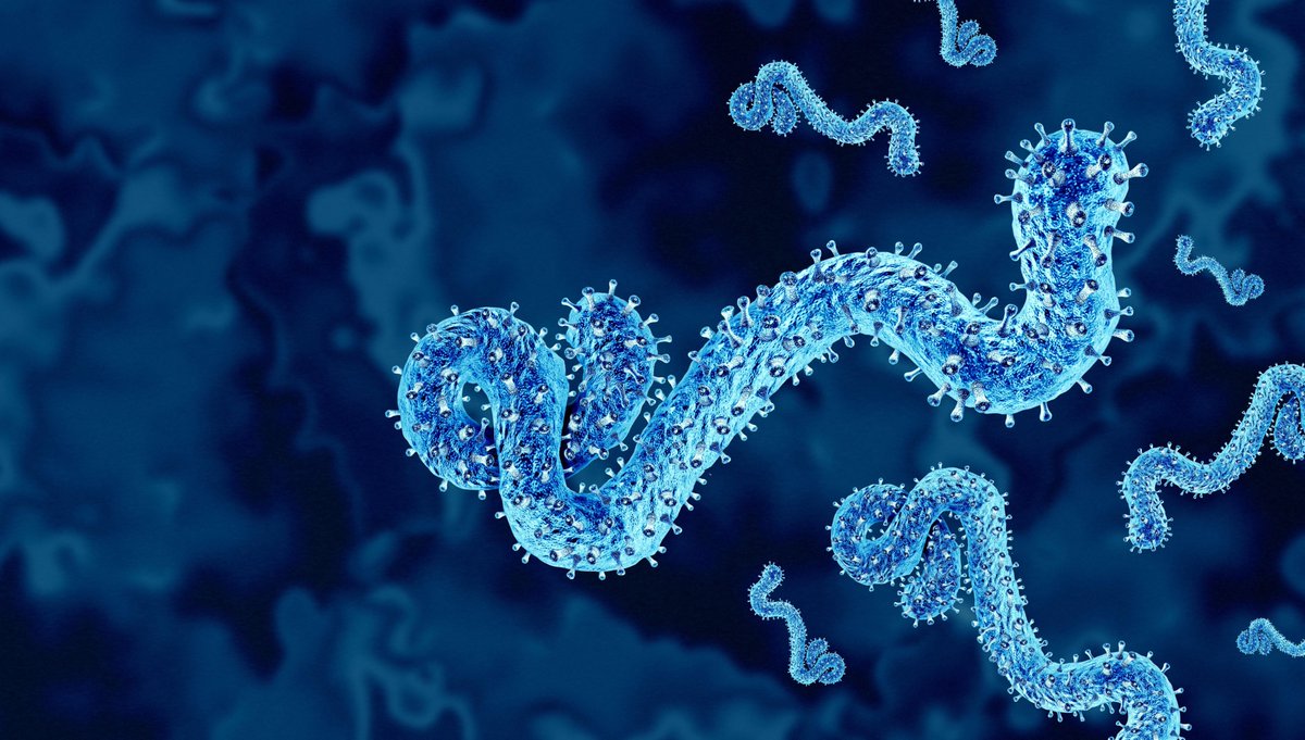 WilliamJHague's tweet photo. An extraordinary development from Oxford. The University has begun the first human trial of a vaccine targeting the ebolavirus strain currently driving outbreaks in the DRC and Uganda.

Oxford science being applied with urgency to one of the world’s most serious health threats. https://t.co/0ZYpbCC8Px