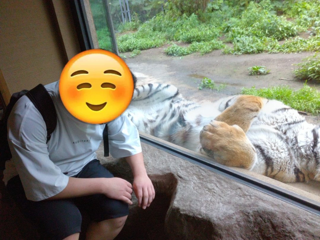 moveon_jr_staff's tweet photo. 今日は子ども達と円山動物園に行きました！わずかに雨模様でしたがここ数日での中では涼しく動物園日和。みんな色々な動物達に接することができ、とても楽しそうでした🦁🐘🐊 #放課後等デイサービス #MOJ https://t.co/BHVXIfsvwB