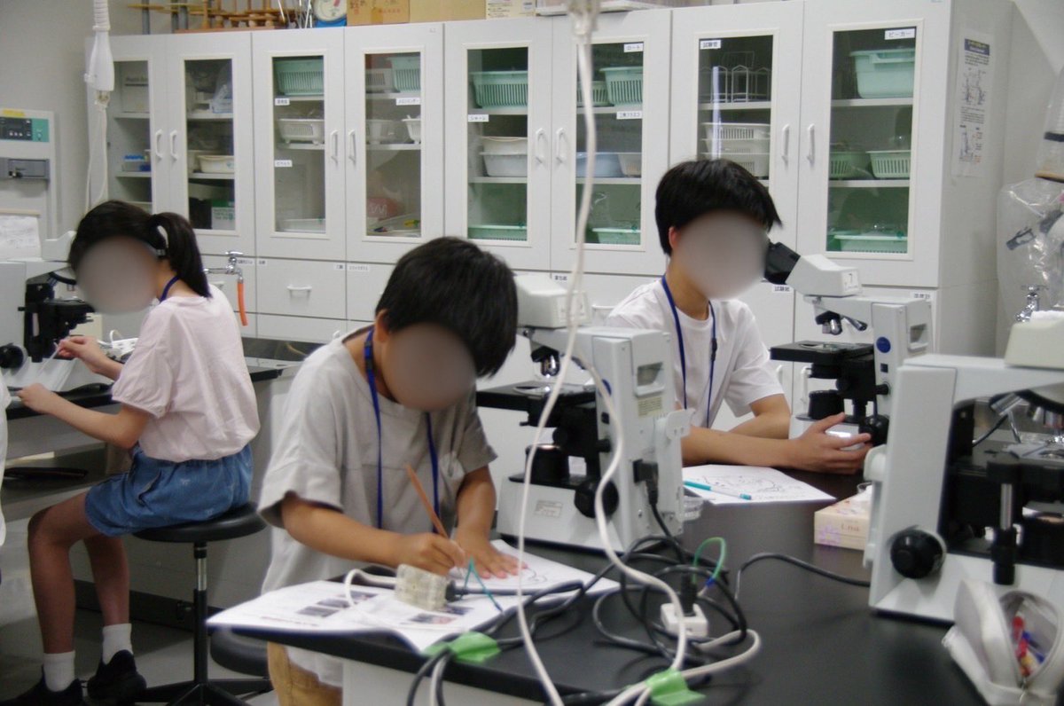 ku_sciencelab's tweet photo. 7月4日にサイエンス・ラボと金沢子ども科学財団による交流科学教室「ミジンコマスターと一緒にミジンコの心臓をみてみよ��！」を開催しました
顕微鏡で生きたミジンコを観察したり、エサやり体験を通して体内にエサが運ばれる様子を確かめたりして、体の構造や働きについて学びました！
#金沢大学 https://t.co/HGG3wILU0E