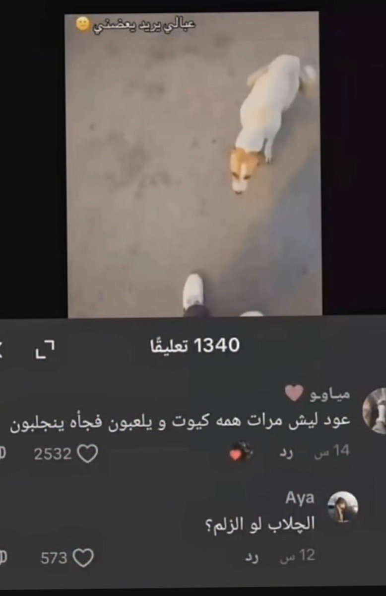 Moonty tweet media