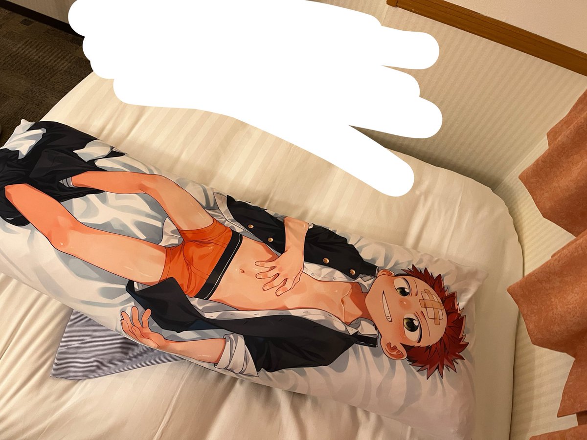 illust_fukashi's tweet photo. うっきうきでカバーに枕2個突っ込む人 https://t.co/UbPr0JwprK