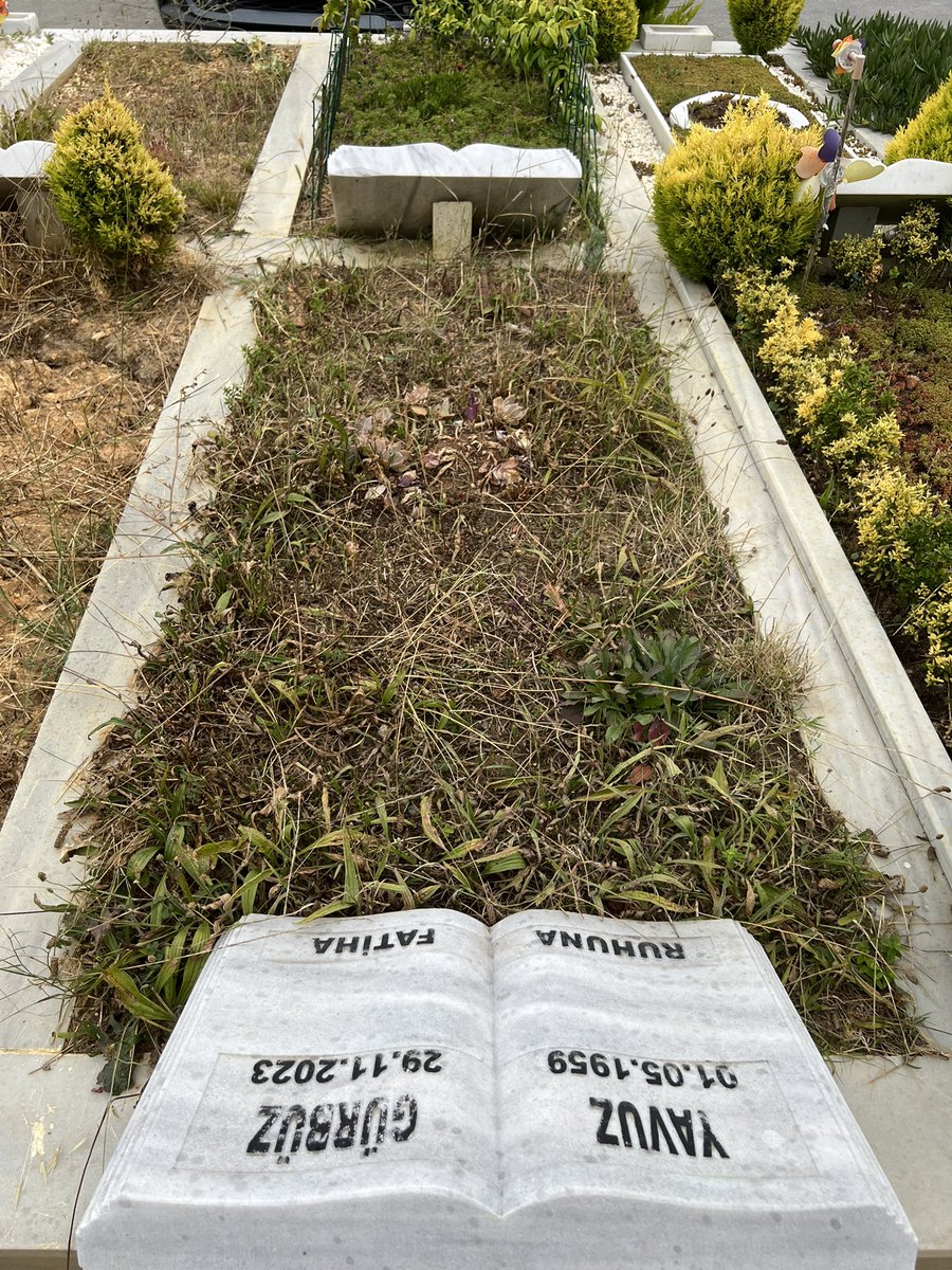selimhann's tweet photo. Yahu şaka gibisiniz aynı şeyleri tekrar yaşıyoruz neden temizlik yapacağız diye mezarın üstünü biçiyorsunuz istemiyorum kardeşim yapmayın bunu yapanı bulursam kemiklerini kıracağım sebebide sizsiniz ! https://t.co/rNAFQvuJNg