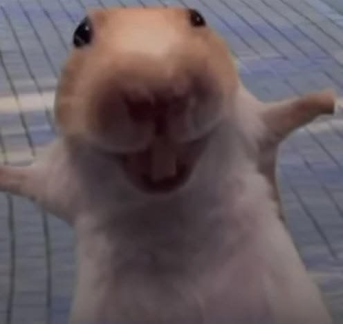  ݁ ˖͜𝒔𝐮𝐢𝒔𝐮𝐢. tweet media