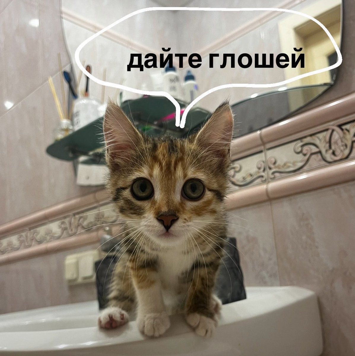 tsivilna tweet picture