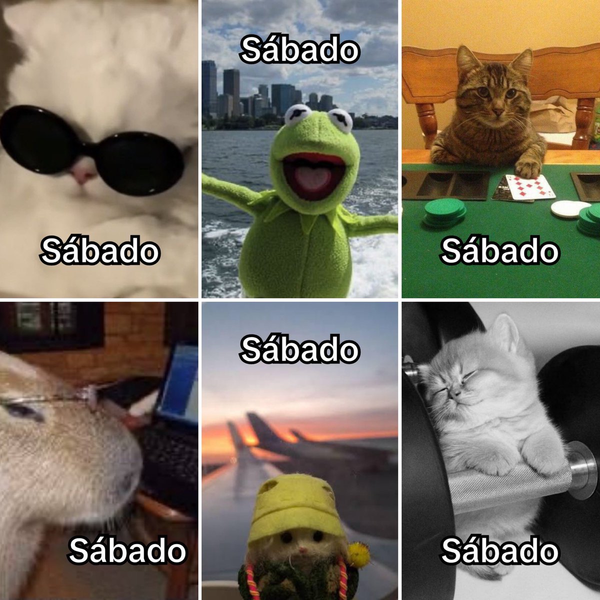 Guarromantico_'s tweet photo. Sábado. https://t.co/Wnya7zamQR