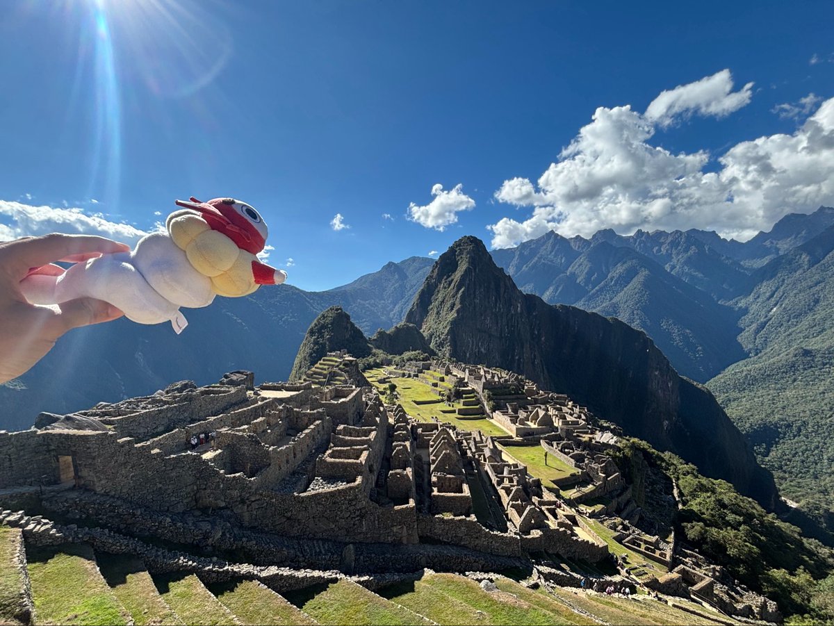 rrrr_ritsu's tweet photo. 念願のマチュピチュ行ってきました⛰️
ロマン溢れる素敵な場所でした！これは一生の思い出 https://t.co/VjeevLyGeA