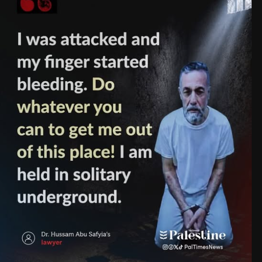Dr. LilyFayed🇵🇸 tweet media