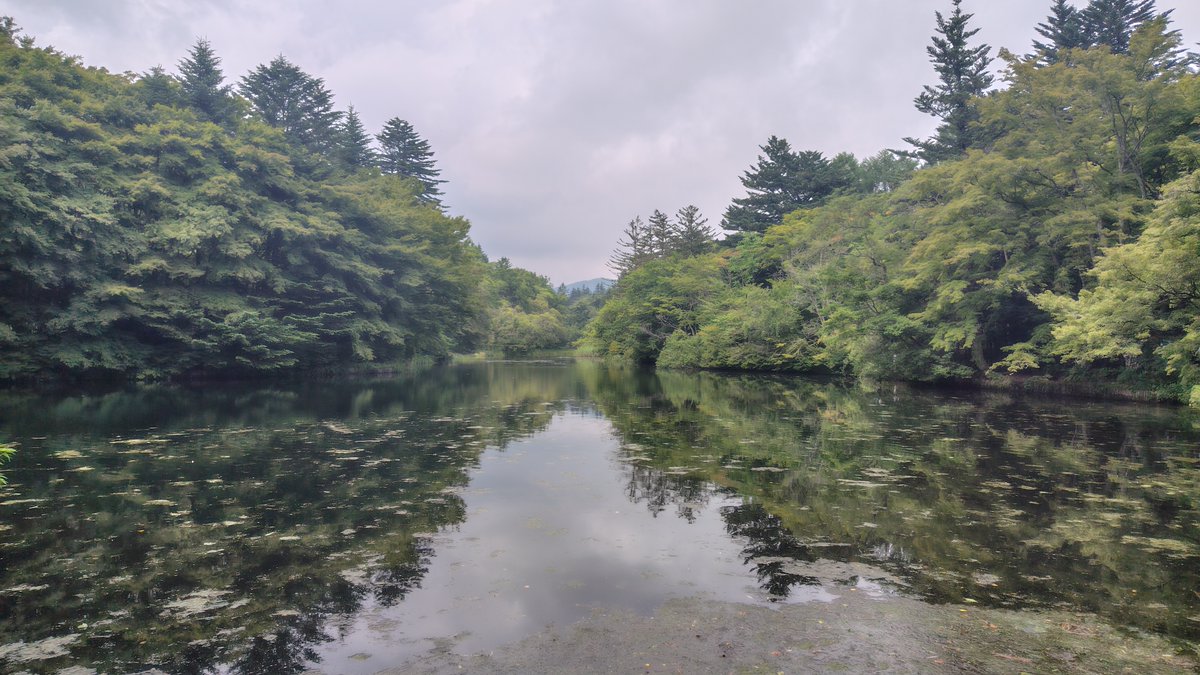 tsuchinoko_00's tweet photo. 7/17 避暑地 軽井沢へ

白糸の滝から旧三笠ホテルまで信濃路自然歩道をトレッキング🥾
観光地巡りして旧軽井沢銀座通りを散策
涼しくて快適だった😄

①白糸の滝
②竜返しの滝
③カトリック軽井沢聖パウロ教会
④雲場池 https://t.co/NUwXTEy6XQ