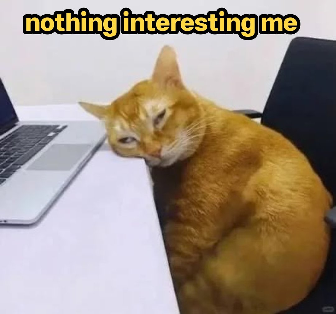 memer 3d tweet media