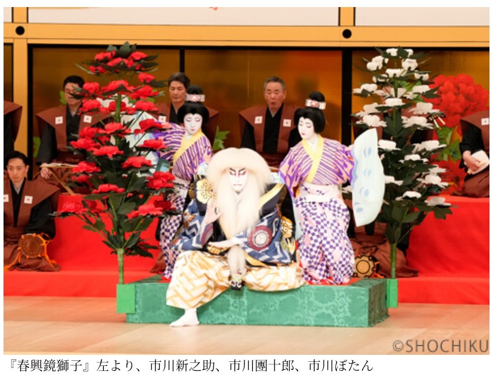 dandan_dankichi's tweet photo. #歌舞伎座 『春興鏡獅子』1月演舞場の親子共演が好評で再演。新歌舞伎十八番で普段女形手掛けぬ團十郎も力を入れてきた。初演から立派だったが今回は前シテ弥生が更に進化して品格と色気、繊細で豊かな情景描写に息を呑む。対する後シテ獅子の精はむしろ動き抑え王者の風格。ぼたん新之助華麗で見応え https://t.co/3wz9hmLwr2