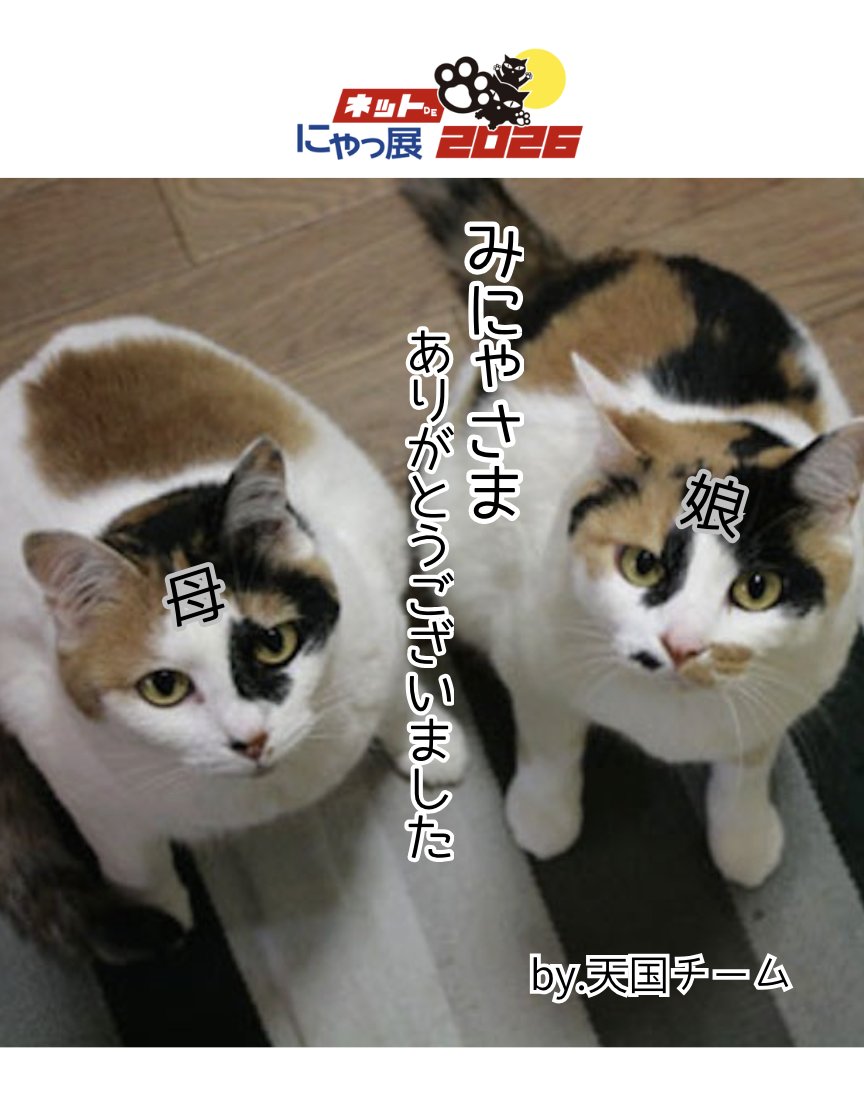 nyantashop's tweet photo. みにゃさまぁ〜〜！！
ネットdeにゃっ展2026が無事に終了となりました。
ありがとうございましたっっ！！！
最初から最後まで、たくさんのみにゃさまの応援サポートに
胸がグッとなることが多くて
ほんっとに。。心からの感謝でいっぱいです。。

そしてお買い物いただいたみにゃさまの温かい気持ちを
ものすごく感じる毎日でした。

こんなにたくさんの人たちが、離れていながらも心を一つにしてネット上のイベントへ心を寄せてもらえることは、
ほんっとにありがたく、尊いことだと思います。

あらためて・・
深く心より感謝をみにゃさまへ伝えたいぃ〜〜！！
ほんっと！！ありがとうございましたっ！！！

受注メールはおそらく明日には全ての方へお届けができると思います。
すでに、受注メールが届いてお振込み頂いてる方へお手続き確認のご連絡がまだできていませんが、こちらは受注メール完了後に順次行いますのでもうしばし待っててにゃぁ〜！

発送までの道のりは、まだまだかかっちゃいますが
進捗状況は日々発信しますので
見守っていただけると嬉しいですっ！