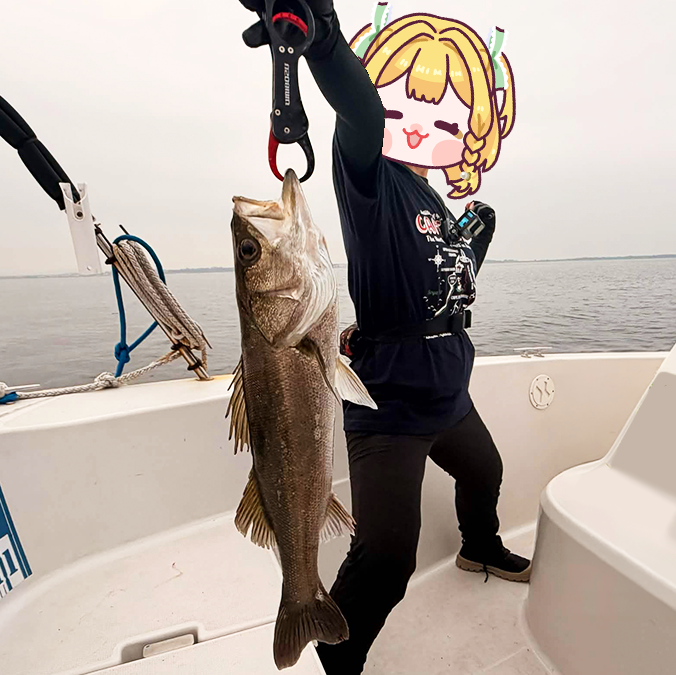 黄金マアジ🐟🏍 tweet media