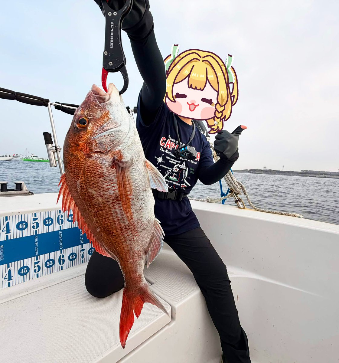 黄金マアジ🐟🏍 tweet media