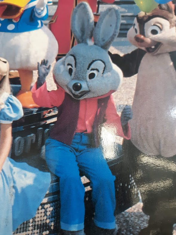 SplashMHS's tweet photo. The original costume used for Brer Rabbit at the Disney Parks! It has only a few known photos and videos, but it was used throughout the 70s to 1988, being retired for a new costume for the then-upcoming opening of Splash Mountain https://t.co/q7P40OZL9P