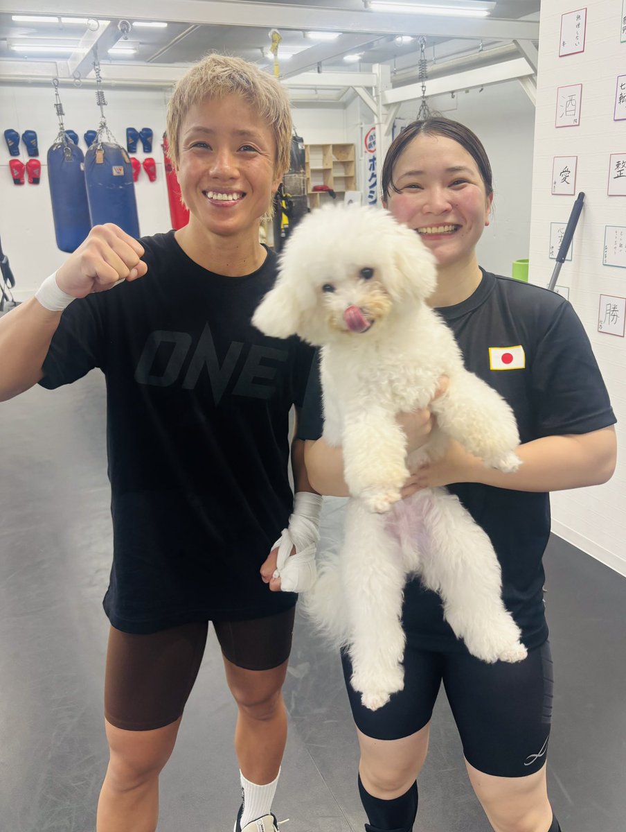 KeiValor's tweet photo. 今日のスパーリング🥊

今日改めて感じたのは、トップレベルのキックボクサーのボクシング技術は、もはやボクシング選手と遜色ないということ。

特にショートレンジでの体圧やプレッシャーはキックボクサーならではの強み。

ボクシング選手も学ぶべき部分は多いと感じた一日でした🔥🥊 https://t.co/W5AMgzjjC9