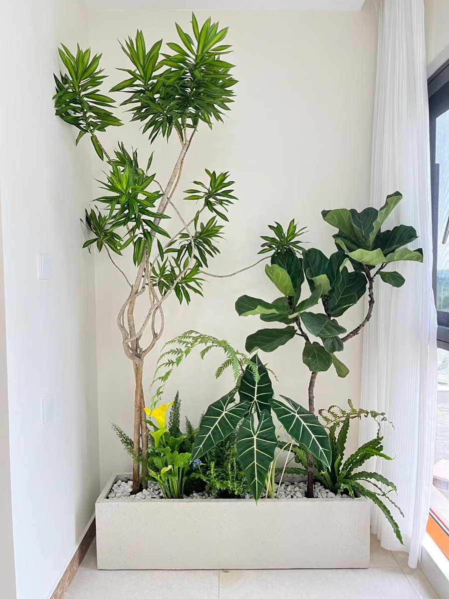 18Kristina12's tweet photo. Pro tip for your pothos: Let its top 2 inches of soil dry out completely before watering! It thrives in bright indirect light u0026 hates soggy roots. Happy growing! ， https://t.co/TcrKkNSxYr