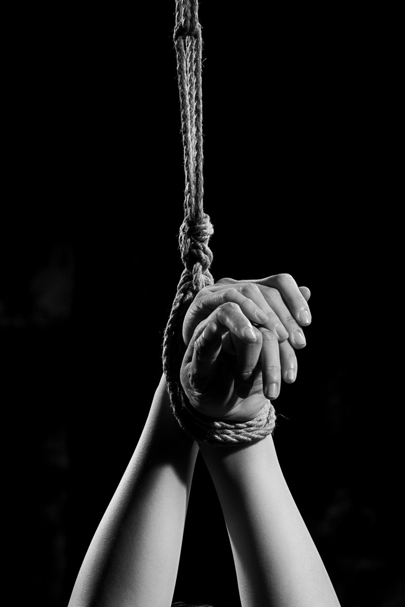 JohnDolanAuthor's tweet photo. TETHERED
“A slick Tokyo-noir thriller”
Coffee shop owner Yumiko’s life unravels after a chance encounter with a stranger in a Tokyo hotel—an encounter that draws her into a world of secrecy and compulsion.
Read #free on #KindleUnlimited
@dark_orient
https://t.co/xc2miessG4 https://t.co/ONjwzc6xHO