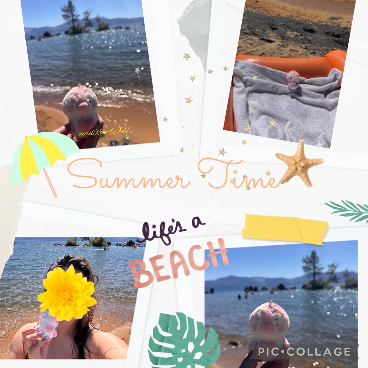 Hottest_April's tweet photo. Our last day and Pink Penpen came along ๐ฅฐ #Penpen #LeeJunho_Penpen #Penpen_Travels #lifeisabeach https://t.co/PtF7AQeUMs