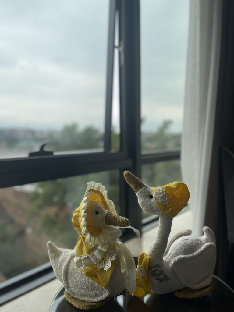 R71lr's tweet photo. بجعاتيييي🥹🥹🥹🥹🦢 https://t.co/8uBztiGUDU