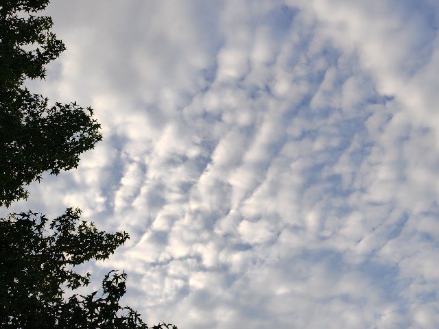 jn0219's tweet photo. 今日の空。 https://t.co/Dk6M56mgjc