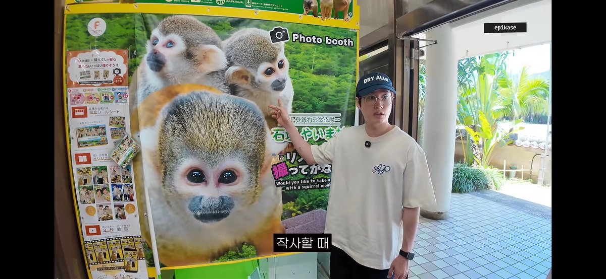 High_gul's tweet photo. 본업하는 햄스터는 오빠!!!!소리 나게 멋진데 무대 끝나먄 그냥 햄스터라서 귀여움

여기서 다람쥐원숭이가 아닌 것은? https://t.co/h58dAPDW68