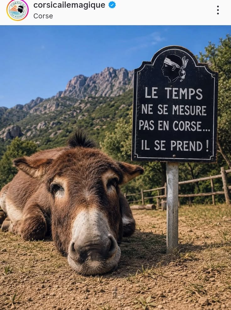 GhjuvanAndreani's tweet photo. Bonghiurnu a tutti🌞 https://t.co/G68LMs4iVp