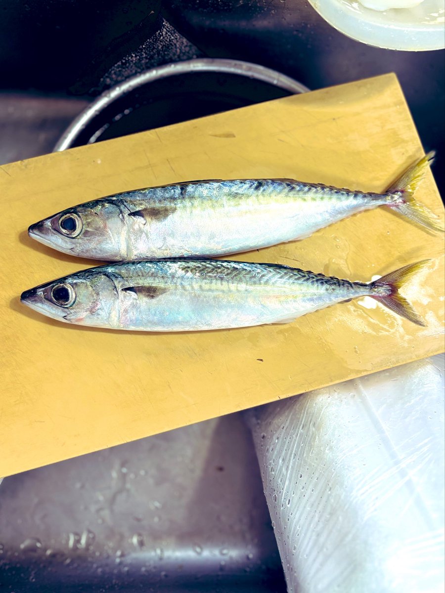 g_blue23's tweet photo. スーパーで売ってる鯖、死んだ魚の目がこんなにきれい。 https://t.co/RmLUVNbCbH